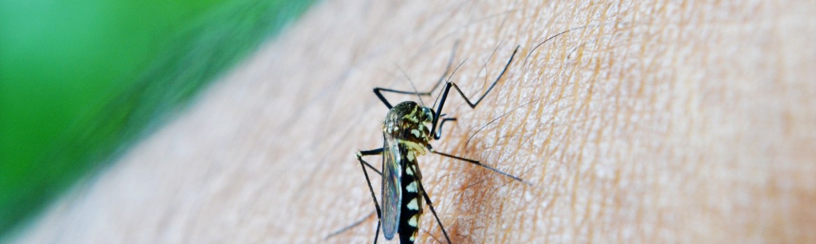 Preparing your Facility for the Threat of Zika Virus