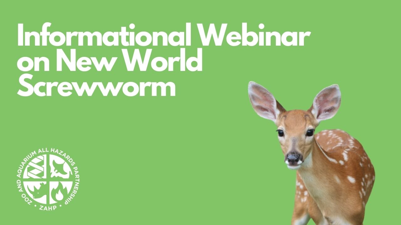 Informational Webinar on New World Screwworm