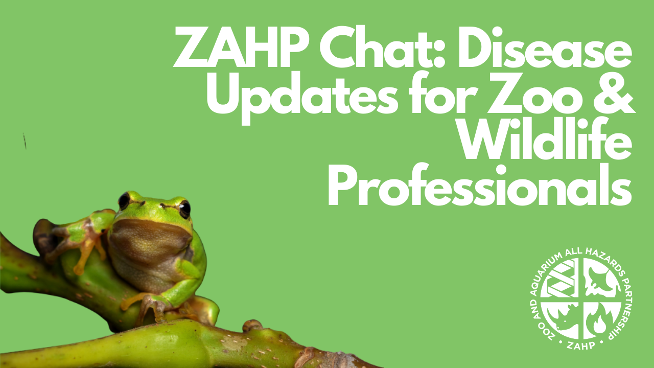 ZAHP Chat: Disease Updates for Zoo and Wildlife Professionals (Webinar Recording)