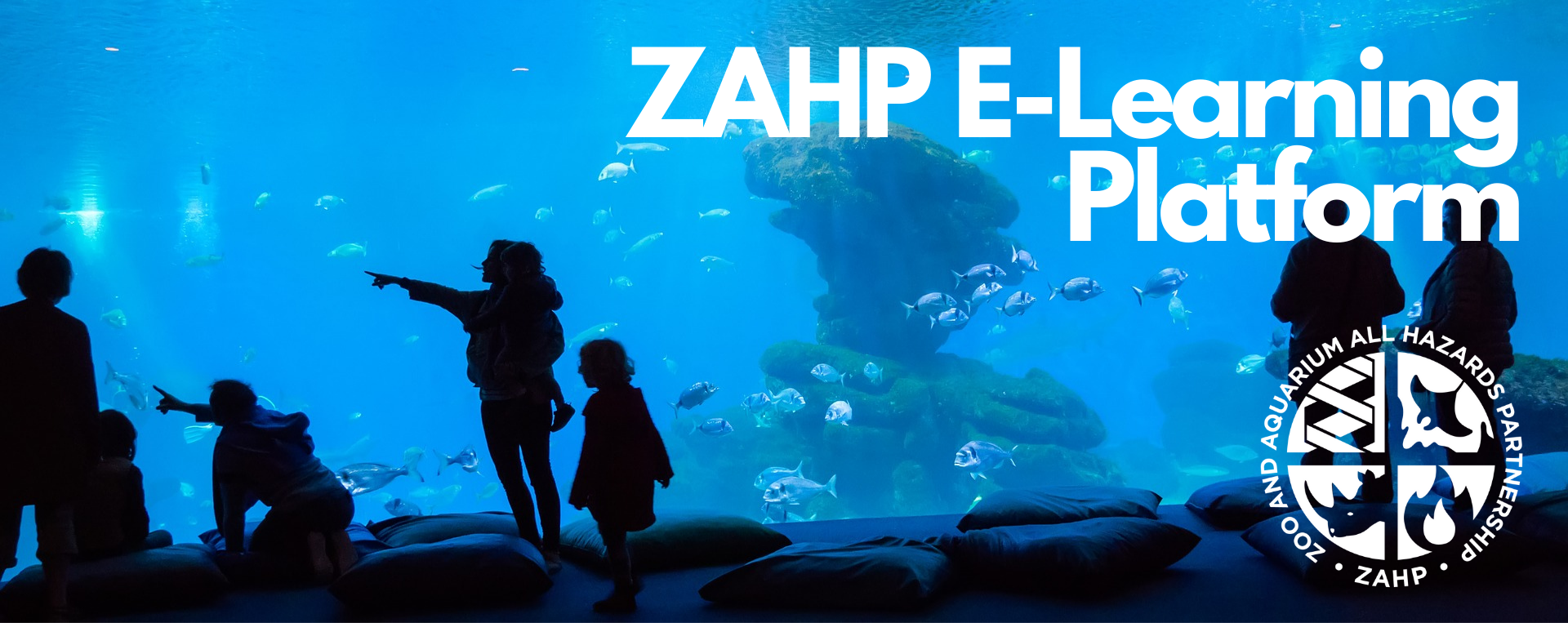 ZAHP Launches New e-Learning Platform