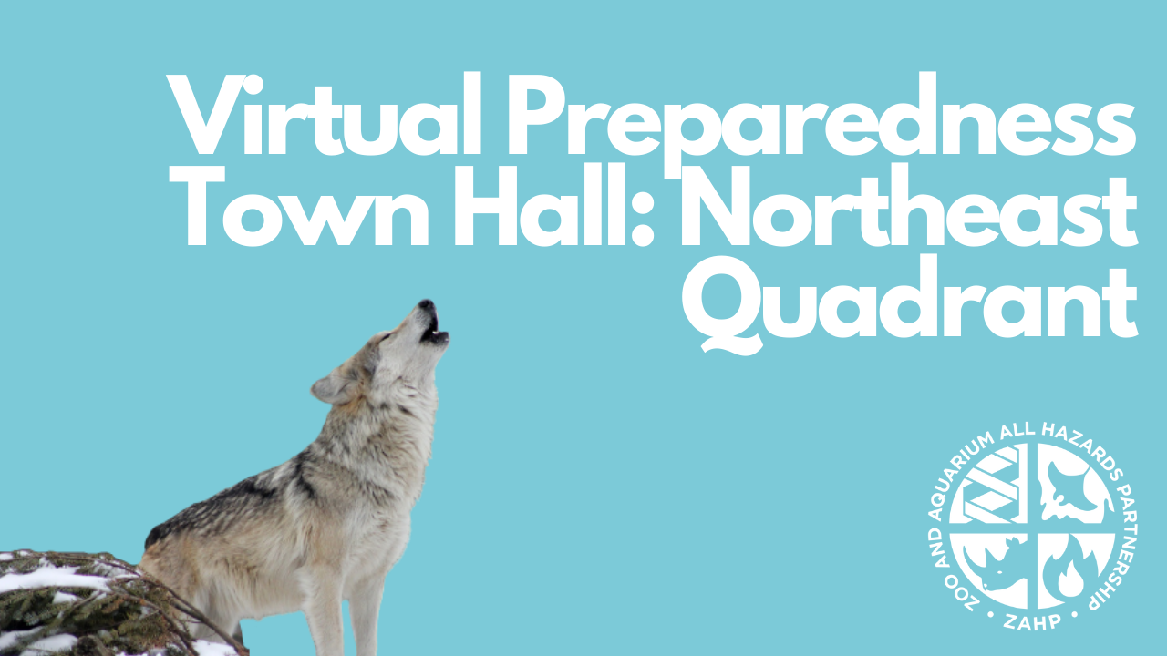 Virtual Preparedness Town Hall: Northeast Quadrant (Webinar Recording) -  Zoo and Aquarium All Hazards Partnership