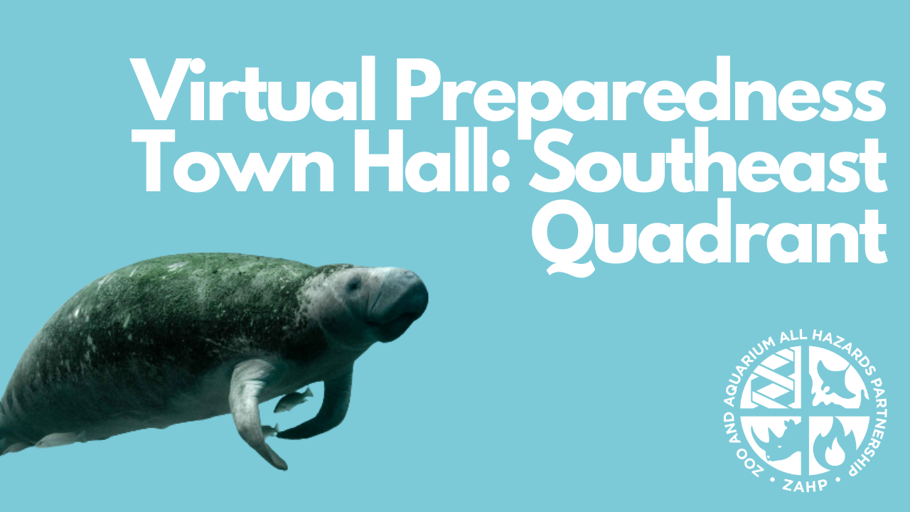 Virtual Preparedness Town Hall: Southeast Quadrant (Webinar Recording)