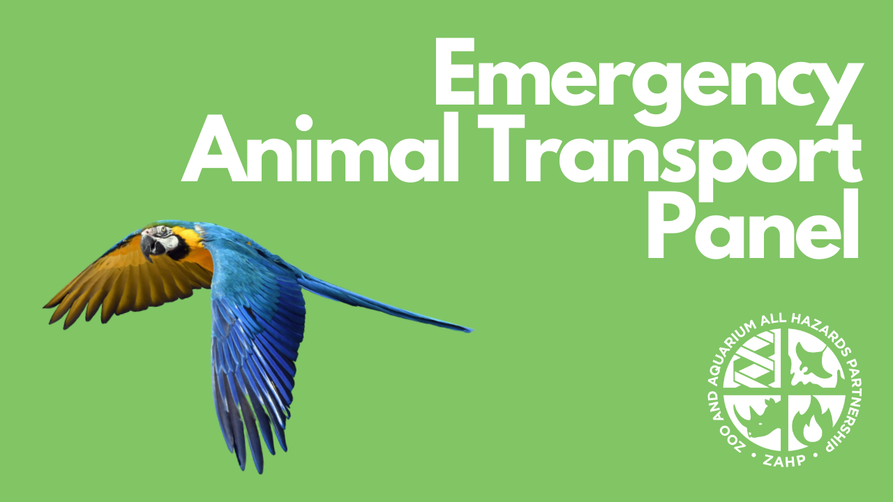 Emergency Animal Transport Panel (Webinar Recording)