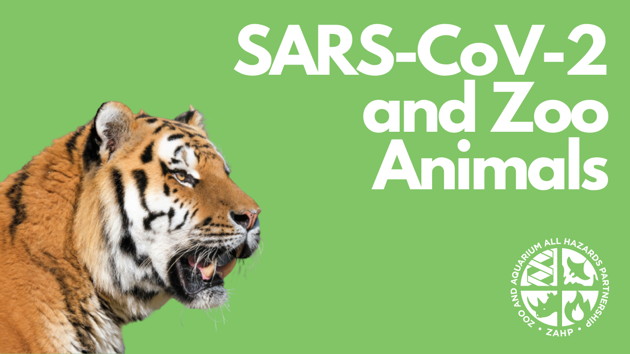 SARS-CoV-2 and Zoo Animals (Webinar Recording)