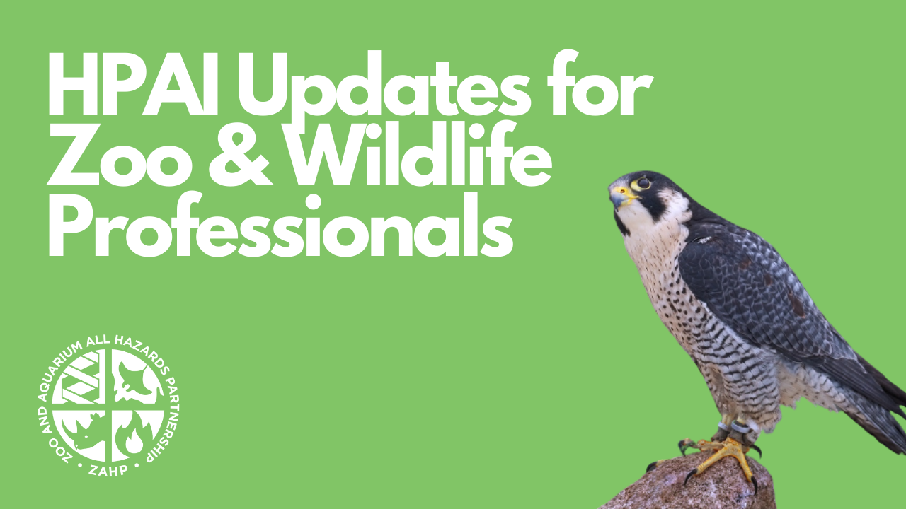 HPAI Updates for Zoo & Wildlife Professionals (Webinar Recording)