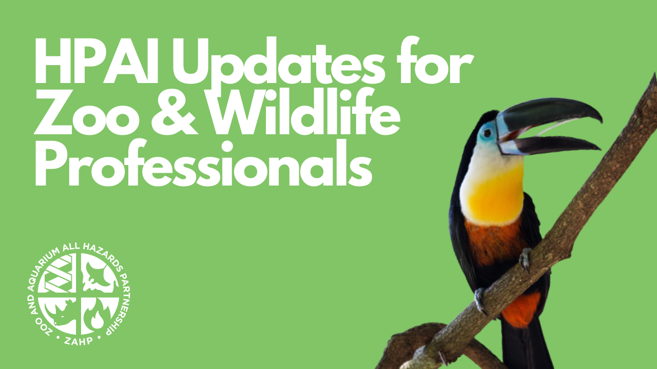 HPAI Updates for Zoo & Wildlife Professionals