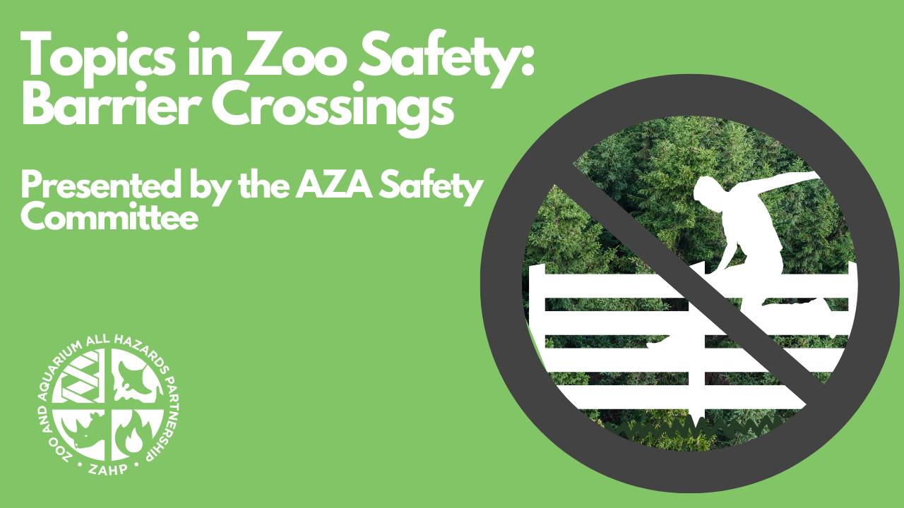 Topics in Zoo Safety: Barrier Crossings Webinar (Recording)